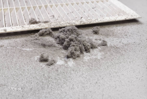 Best Affordable Duct Cleaning Services  in Pine Mountain Clu, CA