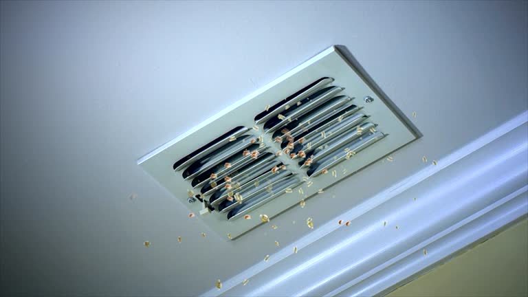 Best HVAC Duct Inspection Services  in Pine Mountain Clu, CA
