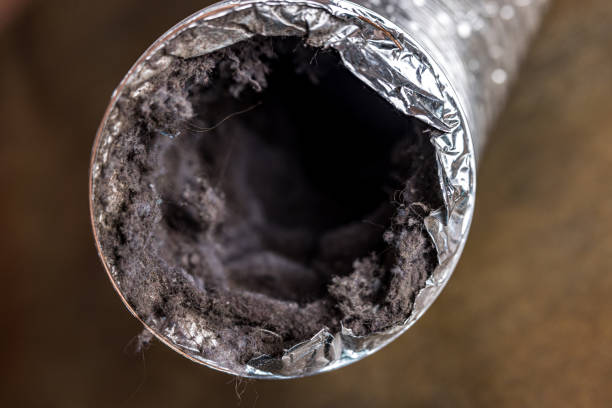 Best Air Duct Cleaning Near Me  in Pine Mountain Clu, CA