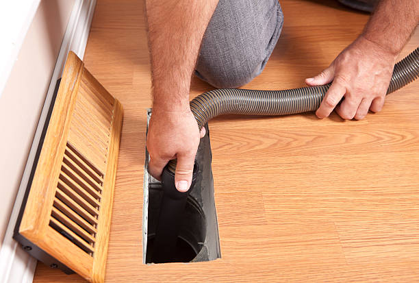 Best Air Duct Mold Removal  in Pine Mountain Clu, CA