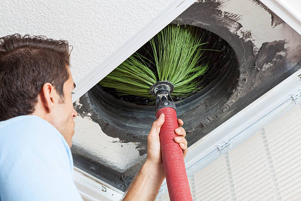 Best Professional Duct Cleaning Services  in Pine Mountain Clu, CA